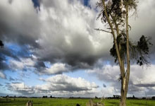 楼市资讯网站排名榜最新,楼市平台