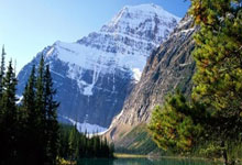 楼市资讯平台最新房价走势,楼市走势最新消息